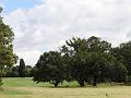2012-0825-1245_Morden_Park_19C